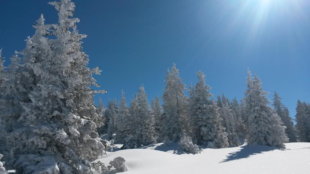 Sonnenhaus Sander Schruns Εξωτερικό φωτογραφία