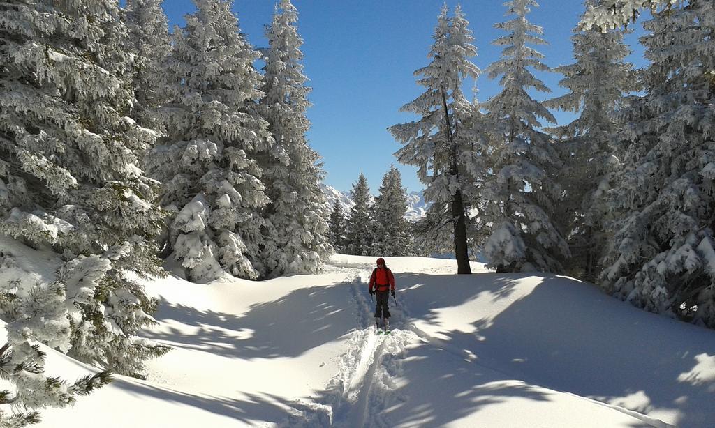 Sonnenhaus Sander Schruns Εξωτερικό φωτογραφία