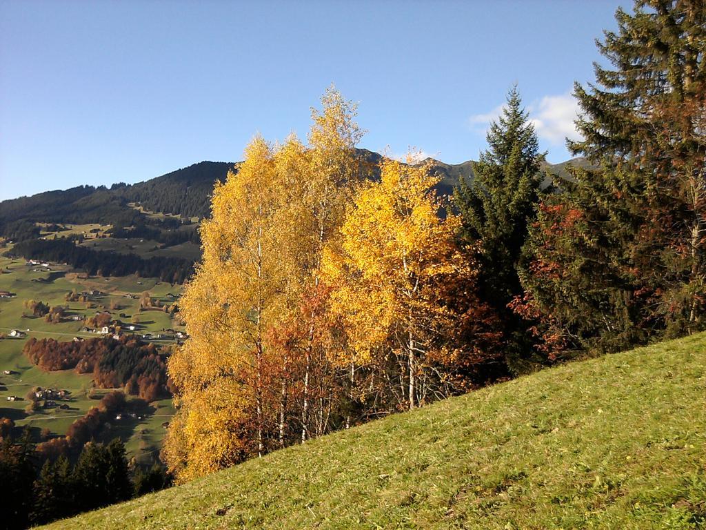 Sonnenhaus Sander Schruns Εξωτερικό φωτογραφία